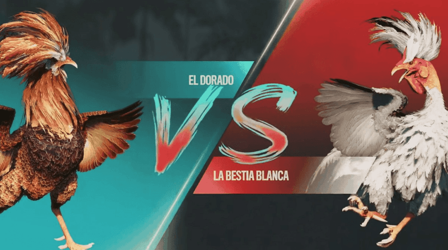9zz Jogos Plataforma
